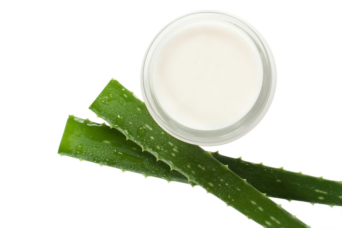 Aloe Vera – Intrebuintari spectaculoase pentru sanatate