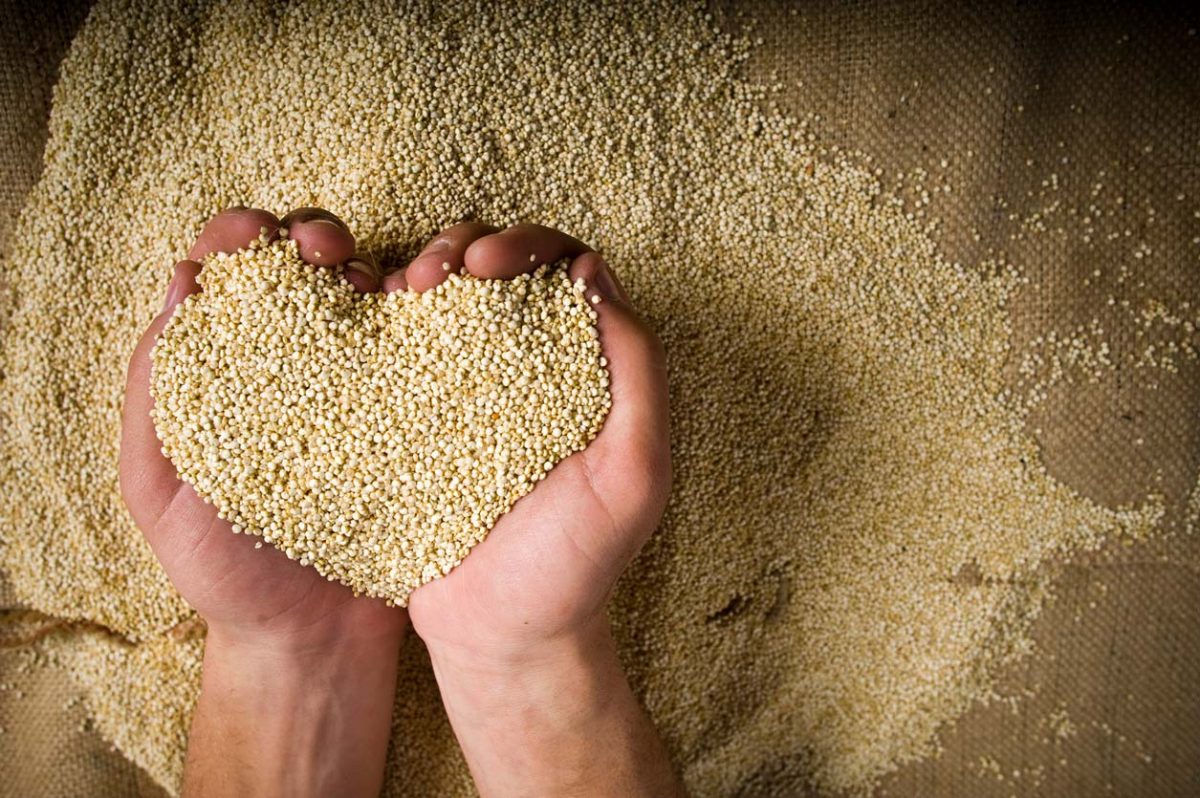 Pseudocereala Quinoa – unul dintre cele mai sănătoase alimente din lume