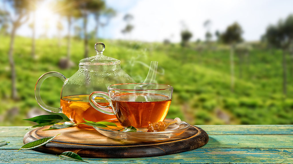 Ceaiul Ceylon: istorie, beneficii și cum se prepară