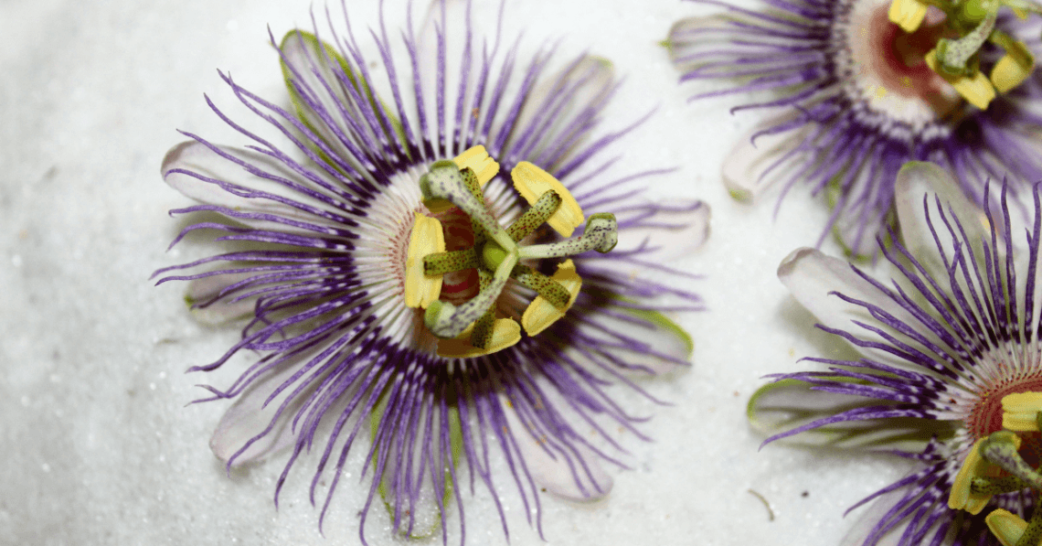Ritualul tău pentru un somn liniștit cu Valeriană și Passiflora