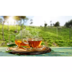 Poza Ceaiul Ceylon: istorie, beneficii și cum se prepară