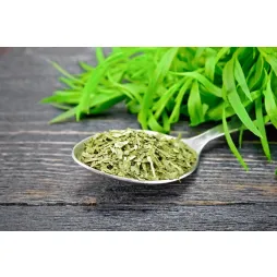 Poza Tarhon – un condiment cu beneficii surprinzătoare