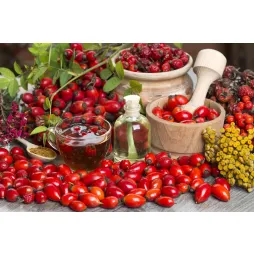 Poza Beneficiile ceaiului de măceșe: o comoară naturală pentru sănătate