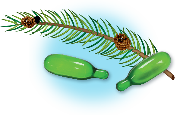 Klearvol contine uleiuri esentiale naturale de pin