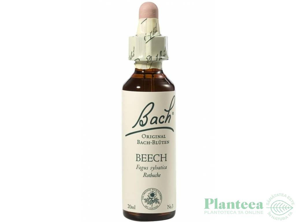 Picaturi florale beech nr3 20ml - BACH REMEDIES