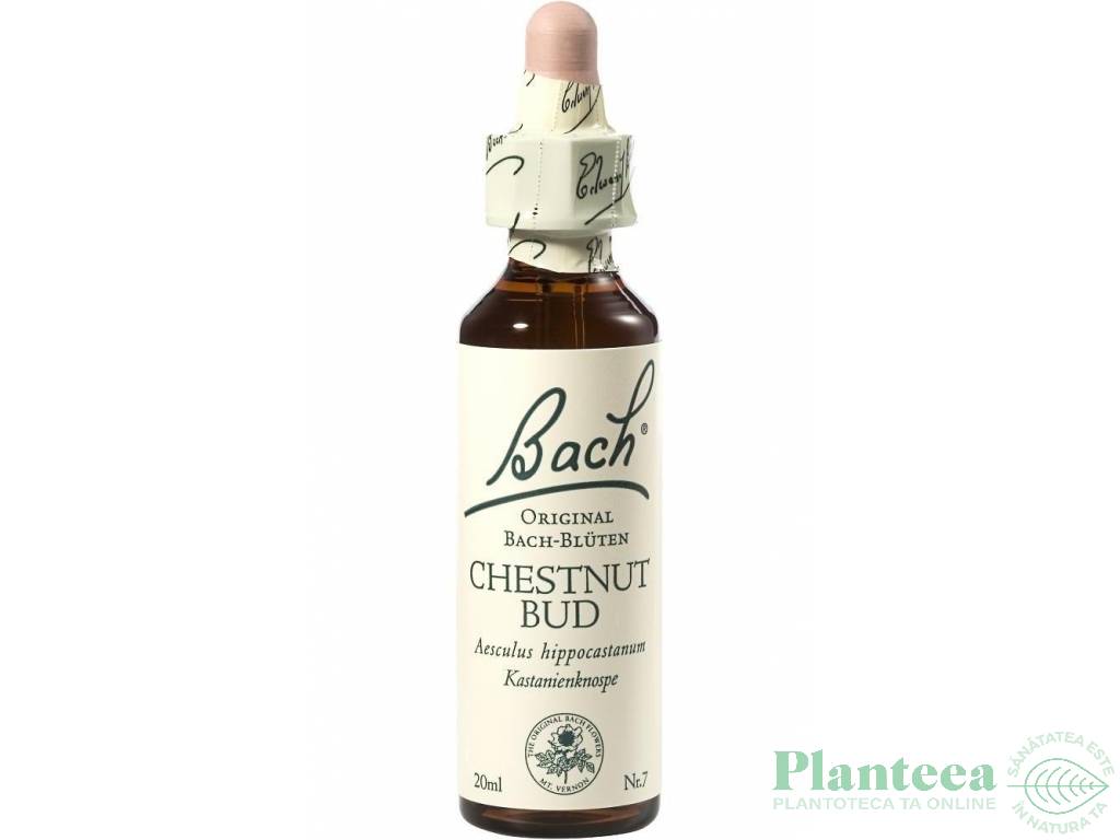 Picaturi florale chestnut bud nr7 20ml - BACH REMEDIES