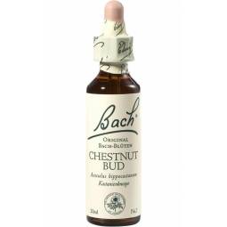 Picaturi florale chestnut bud nr7 20ml - BACH REMEDIES