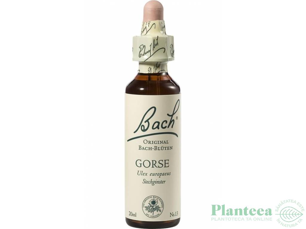 Picaturi florale gorse nr13 20ml - BACH REMEDIES