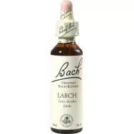 Picaturi florale larch nr19 20ml - BACH REMEDIES