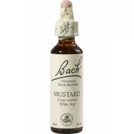 Picaturi florale mustard nr21 20ml - BACH REMEDIES