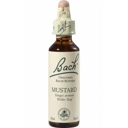 Picaturi florale mustard nr21 20ml - BACH REMEDIES