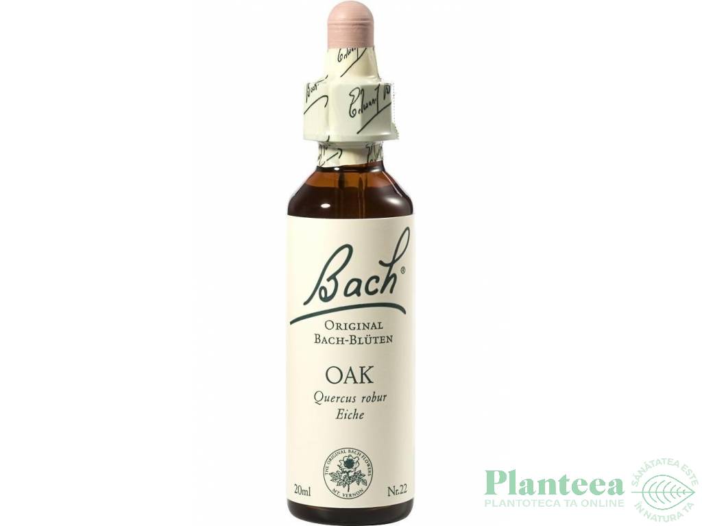 Picaturi florale oak nr22 20ml - BACH REMEDIES