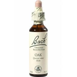 Picaturi florale oak nr22 20ml - BACH REMEDIES