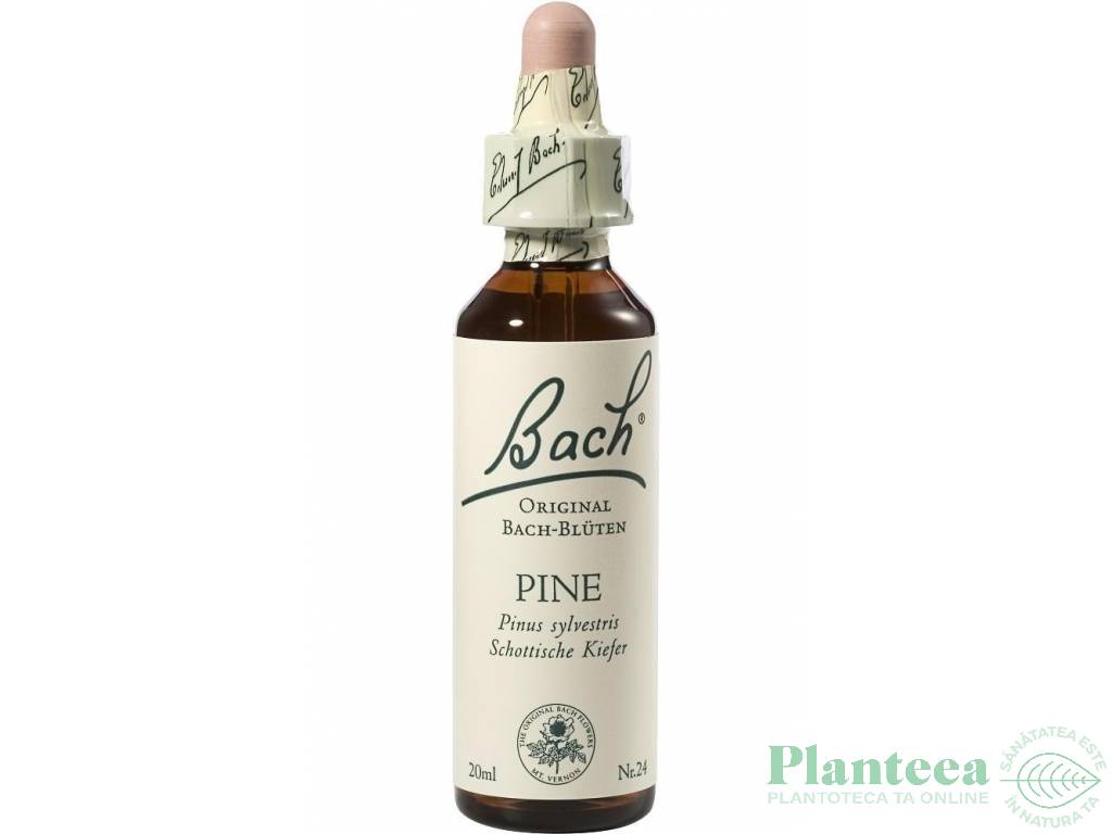 Picaturi florale pine nr24 20ml - BACH REMEDIES