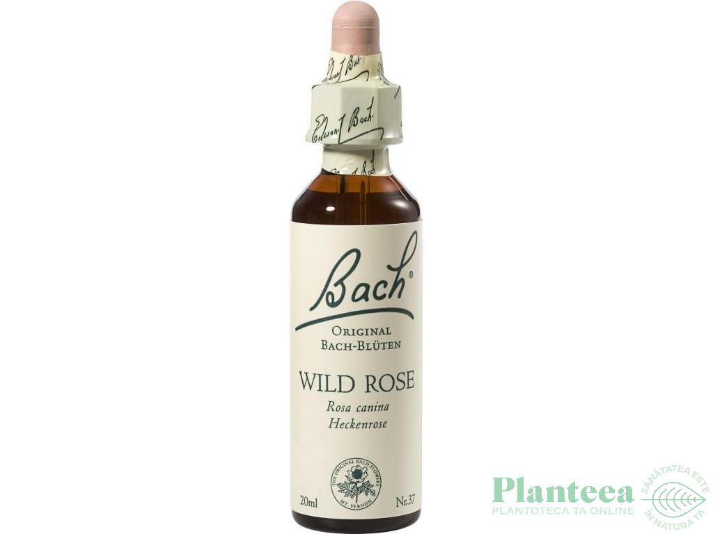 Picaturi florale wild rose nr37 20ml - BACH REMEDIES