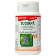 Lucerna 40cps - FAVISAN