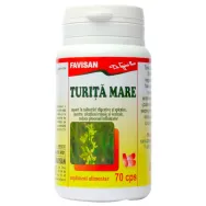 Turita mare 70cps - FAVISAN