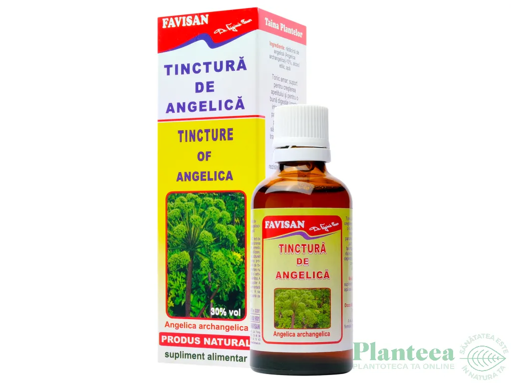 Tinctura angelica 50ml - FAVISAN