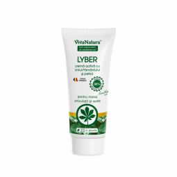 Crema antireumatica Lyber 75ml - VIVA NATURA