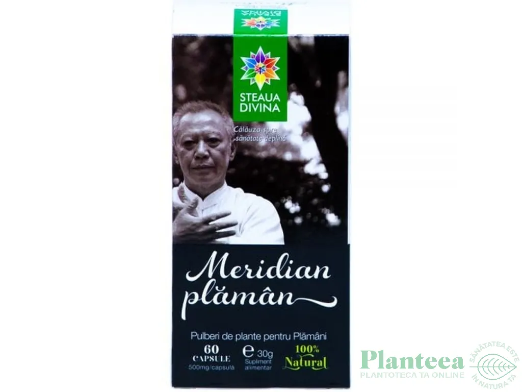 Meridian plaman 60cps - SANTO RAPHAEL