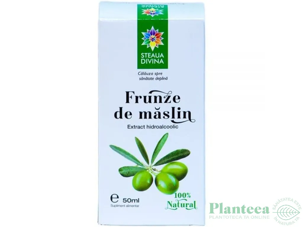 Tinctura frunze maslin 50ml - SANTO RAPHAEL