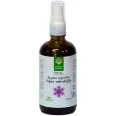 Argint coloidal 10ppm spray 100ml - SANTO RAPHAEL