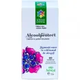 Alcool protect 60cps - SANTO RAPHAEL