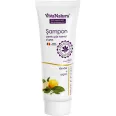 Sampon par normal gras lamaie argan 250ml - VIVA NATURA