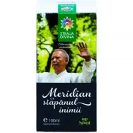 Meridian stapanul inimii 100ml - SANTO RAPHAEL
