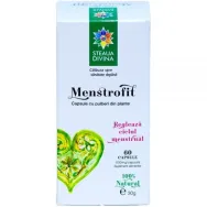 Menstrofit 60cps - SANTO RAPHAEL