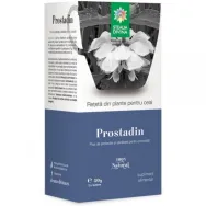 Ceai Prostadin 50g - SANTO RAPHAEL
