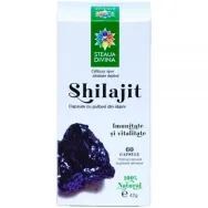 Shilajit 60cps - SANTO RAPHAEL