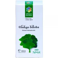 Tinctura ginkgo biloba 50ml - SANTO RAPHAEL