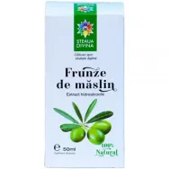 Tinctura frunze maslin 50ml - SANTO RAPHAEL