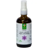 Argint coloidal 10ppm spray 100ml - SANTO RAPHAEL