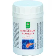 Regenerare pancreas 90cps - SANTO RAPHAEL