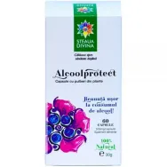 Alcool protect 60cps - SANTO RAPHAEL