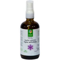 Argint coloidal 10ppm spray 100ml - SANTO RAPHAEL