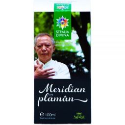 Meridian plaman 100ml - SANTO RAPHAEL