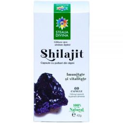 Shilajit 60cps - SANTO RAPHAEL