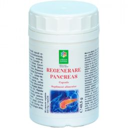 Regenerare pancreas 90cps - SANTO RAPHAEL
