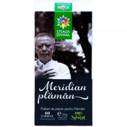 Meridian plaman 60cps - SANTO RAPHAEL