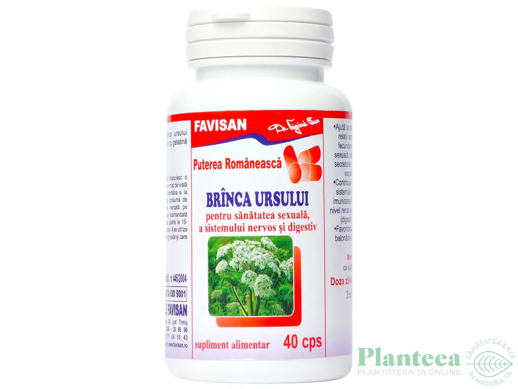 Branca ursului 40cps - FAVISAN