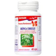 Branca ursului 40cps - FAVISAN