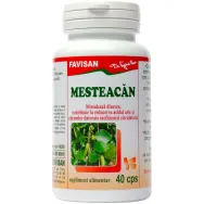 Mesteacan 40cps - FAVISAN