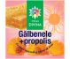 Crema galbenele propolis 40g - SANTO RAPHAEL