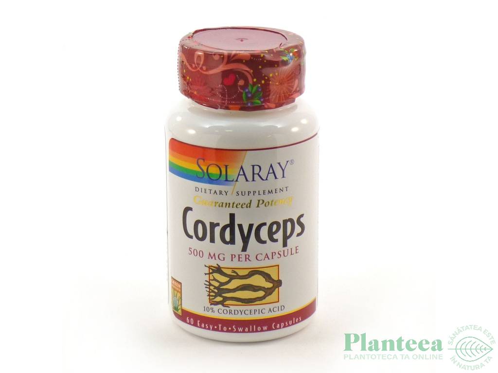 Cordyceps 500mg 60cps - SOLARAY