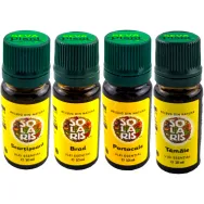 Kit 4 uleiuri esentiale Arome de Sarbatoare 4x10ml - SOLARIS