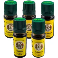 Kit 5 uleiuri esentiale Magia aromelor de Iarna 5x10ml - SOLARIS