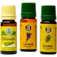 Kit 3 uleiuri esentiale Repelente contra Insectelor 3x10ml - SOLARIS